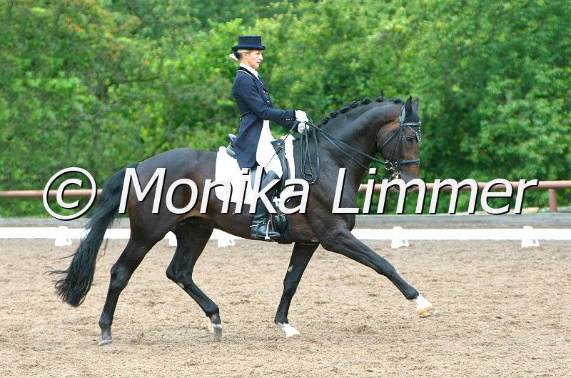 109M1316_Don Vito_Dressur S_St. Georg.JPG - Turnier Wernstein, Siegerin, Katrin Härlein mit Don Vito vom RC zum Schloß Evsölden u.U.e.V. in der Dressur der Schweren Klasse St. Georges. Foto Monika Limmer